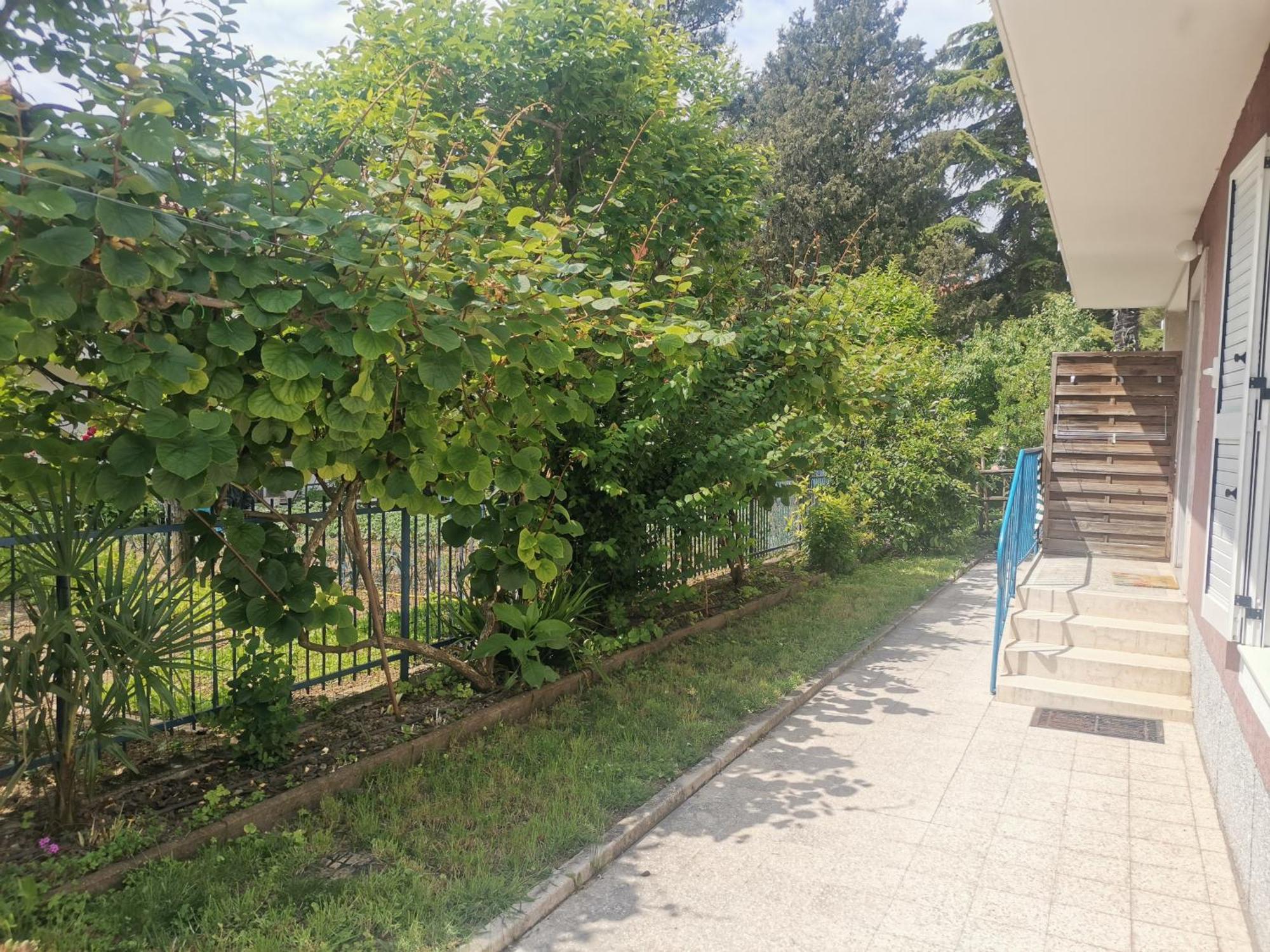 Apartamento Pri Noni "Istracycle" Lucija Exterior foto